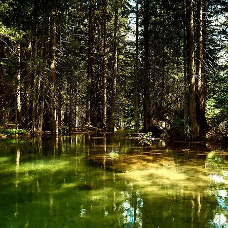 Apartmán Neue Post Filzmoos