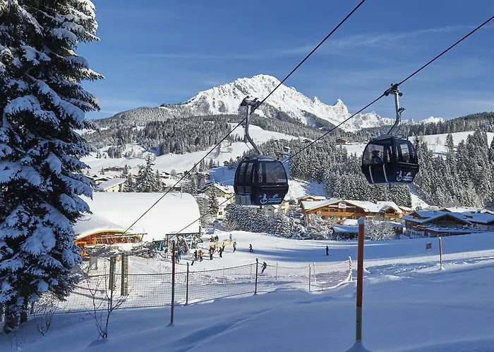 Neue Post * 필즈모스