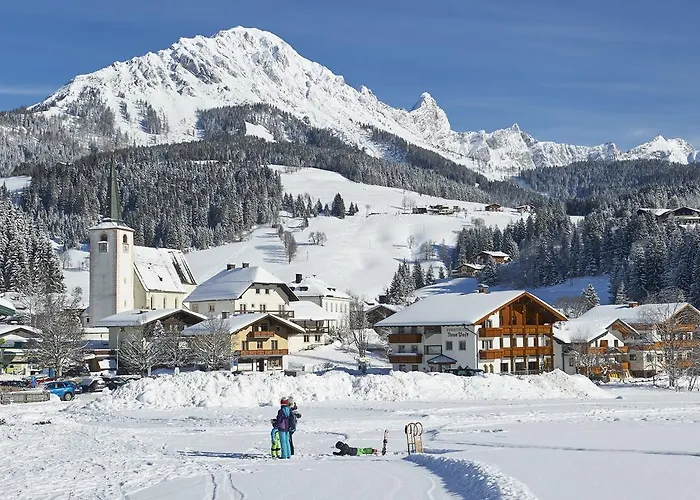 Neue Post * 필즈모스