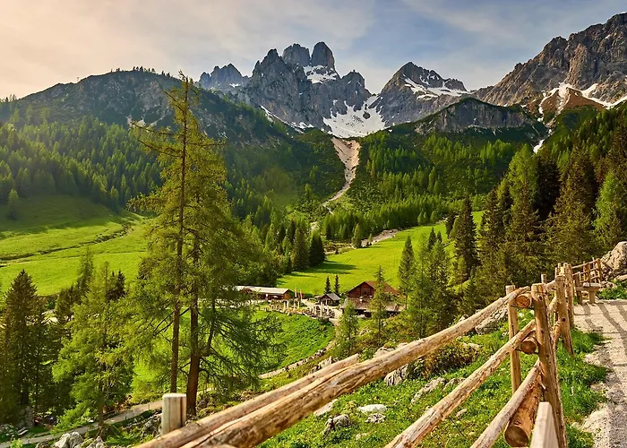 Neue Post 필즈모스