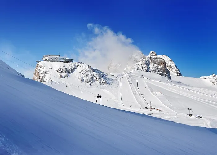 Neue Post 아파트 필즈모스