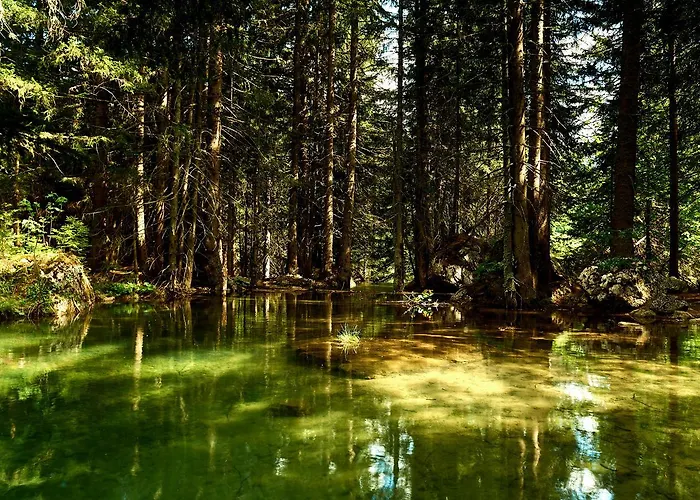 아파트 Neue Post 필즈모스